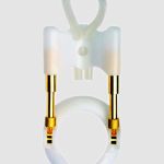 uroblog_estensore_penieno