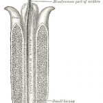 uroblog_image_2