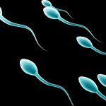 sperma