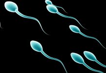 Estrazione chirurgica degli spermatozoi