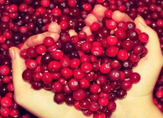Fitoterapici nel trattamento della Cistite I : Il Mirtillo Rosso
