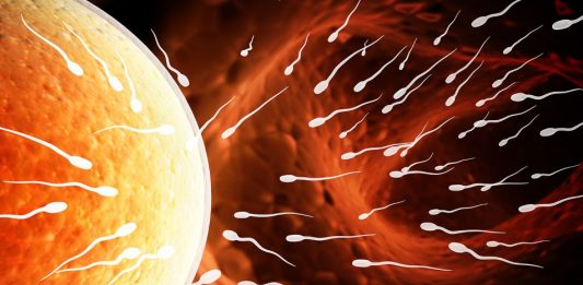 Inseminazione Intra-uterina
